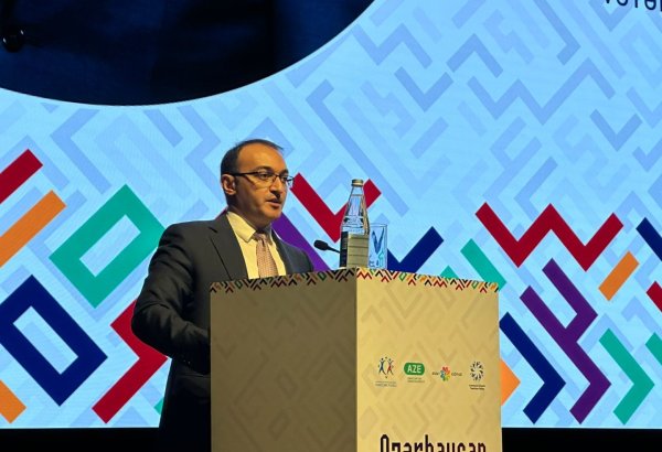 Волонтерское движение в Азербайджане за последние годы получило широкий размах - Ульви Мехтиев