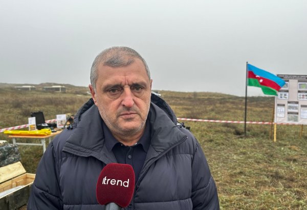 Azerbaijan puts every effort into de-mining - public association chairman