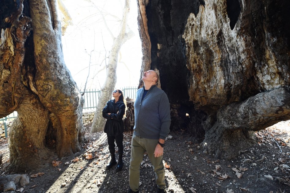 President Ilham Aliyev, First Lady Mehriban Aliyeva visit "Chinar sacred place" monument complex (PHOTO/VIDEO)