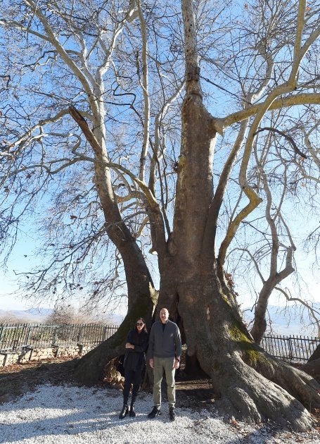 President Ilham Aliyev, First Lady Mehriban Aliyeva visit "Chinar sacred place" monument complex (PHOTO/VIDEO)