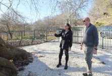 President Ilham Aliyev, First Lady Mehriban Aliyeva visit "Chinar sacred place" monument complex (PHOTO/VIDEO)