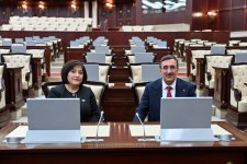 Спикер парламента Азербайджана встретилась с вице-президентом Турции (ФОТО)