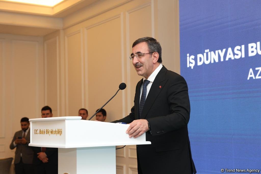 Азербайджано-турецкие отношения являются примером для других стран - вице-президент Турции