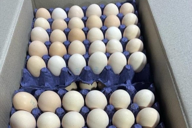 Из Азербайджана в Россию отправлено 18 тонн яиц