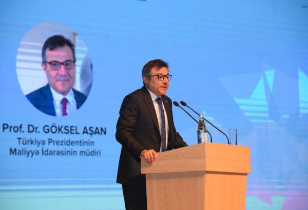Турецкие бизнесмены видят в Азербайджане уникальные возможности для развития - Гоксель Ашан