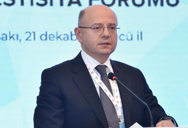 Azerbaijan cooperating with EU to harness offshore wind resources for green hydrogen production - minister