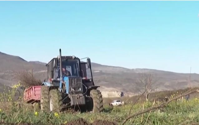 На очищенных от сепаратистов территориях Азербайджана начался процесс озеленения (ВИДЕО)