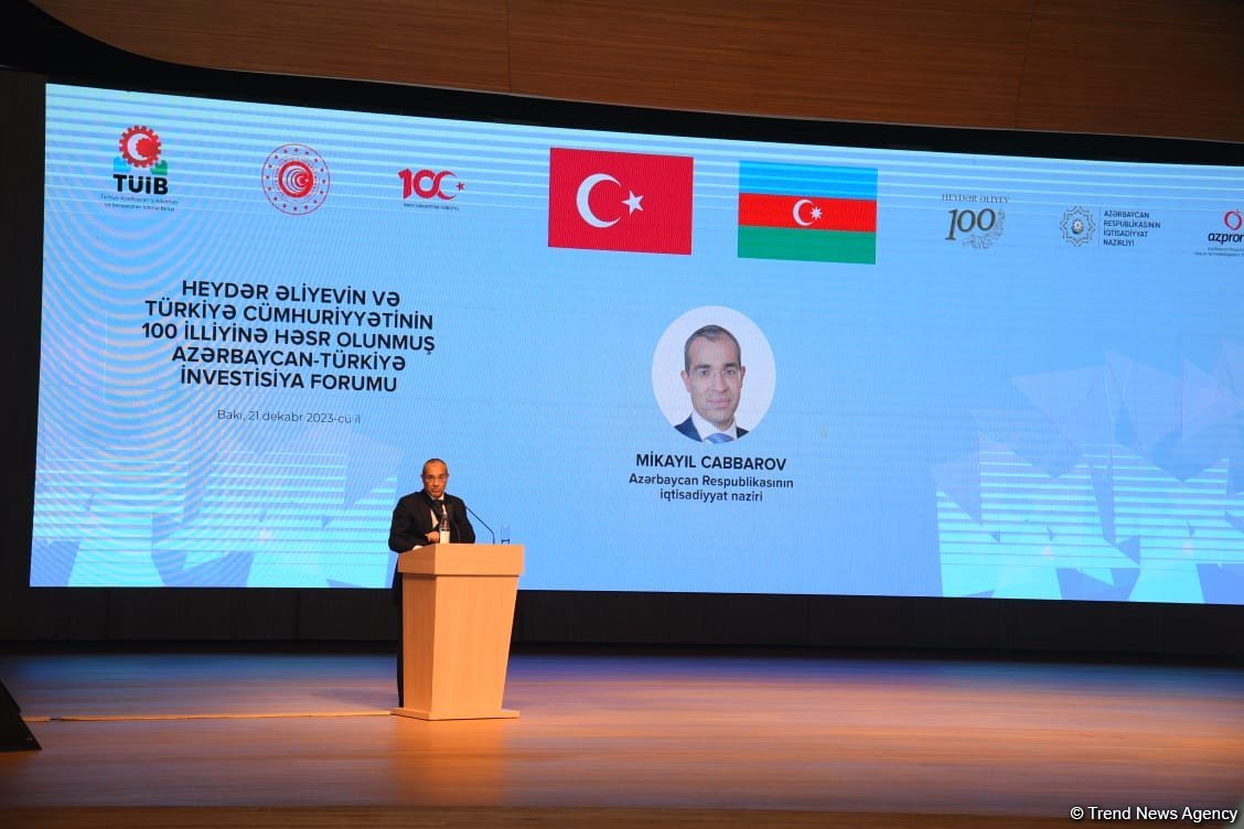 Projects co-handled by private sector promote Azerbaijani-Turkish economies - minister