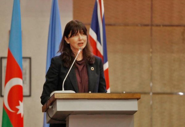 Azerbaijan plays role of regional leader - UN resident coordinator