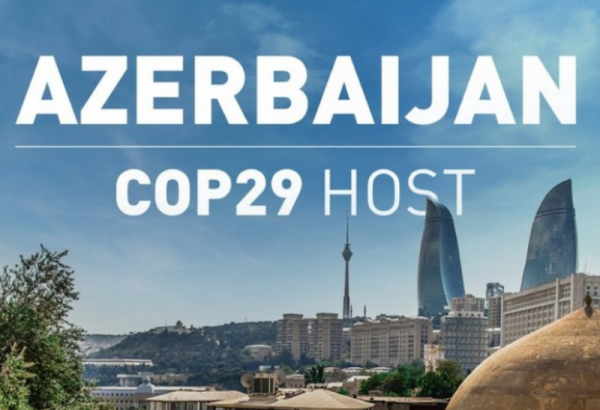 Германия проявляет серьезный интерес к COP29