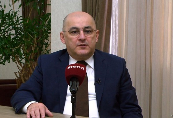 В следующем году ГТК Азербайджана реализует ряд новых проектов - Шахин Багиров