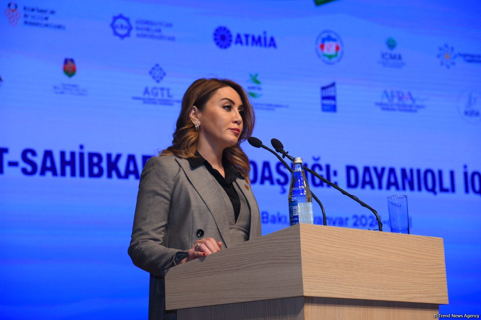 Baku hosts "State-business partnership: basis of sustainable economy" conference (PHOTO)