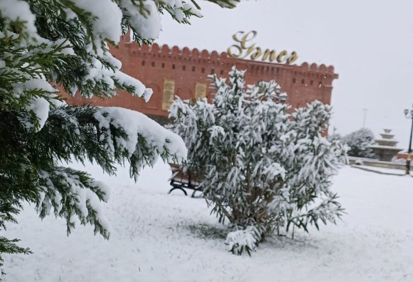 В некоторых регионах Азербайджана выпал снег - Фактическая погода