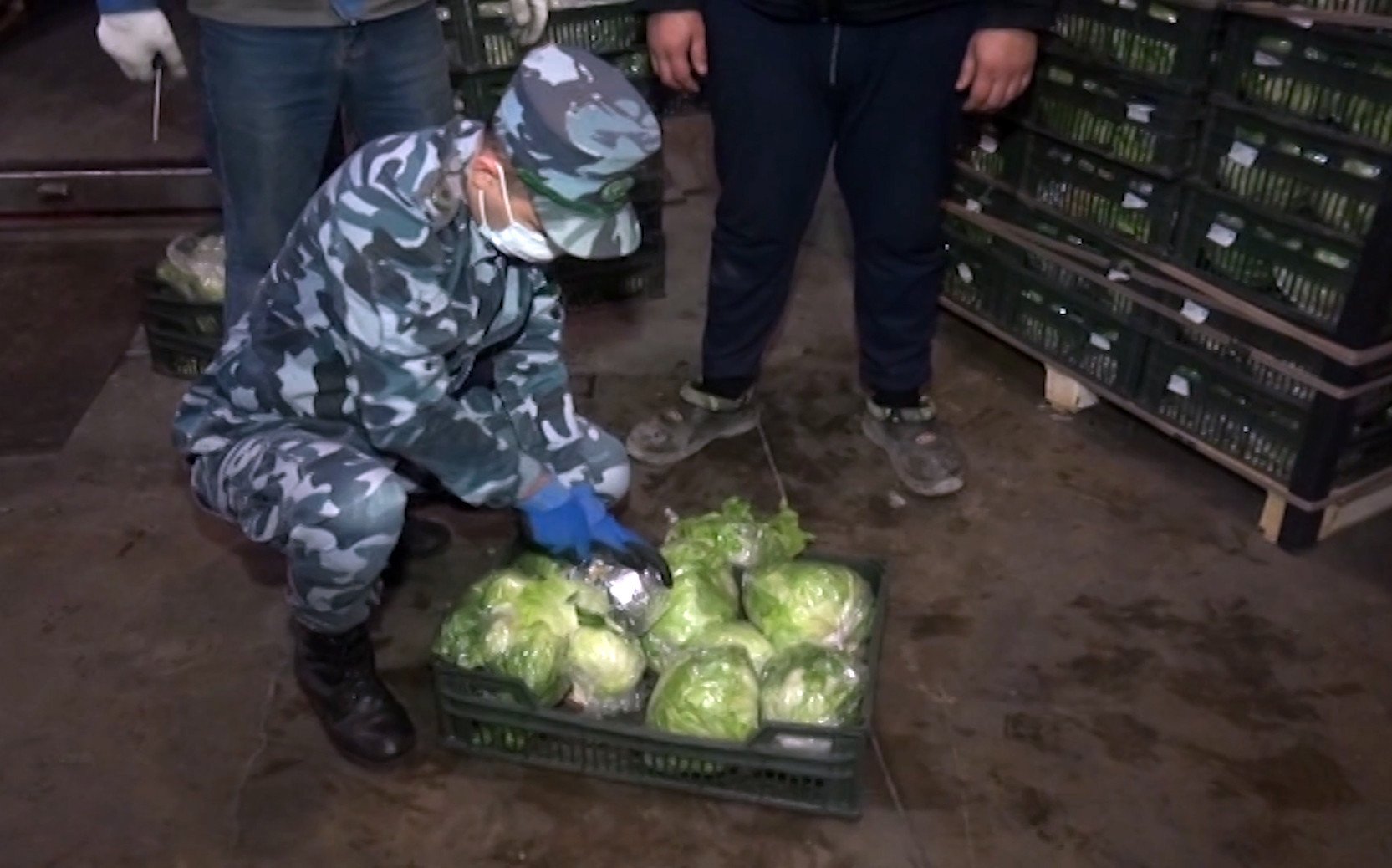В Азербайджане обнаружено большое количество наркотиков, оформленных как "салат" (ФОТО)