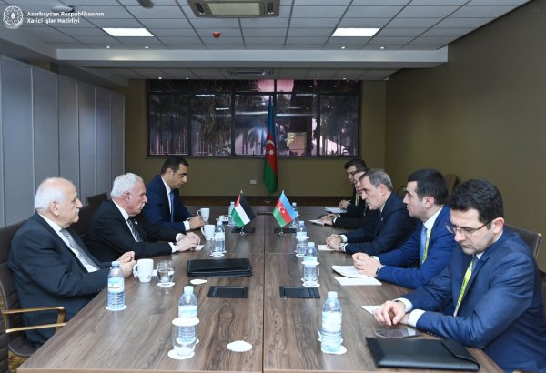 Azerbaijan supports solution of Palestinian issue on basis of int’l law - FM (PHOTO)
