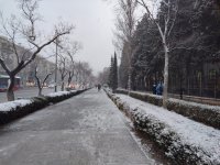 Снежное утро в Баку в фотографиях