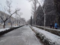 Снежное утро в Баку в фотографиях