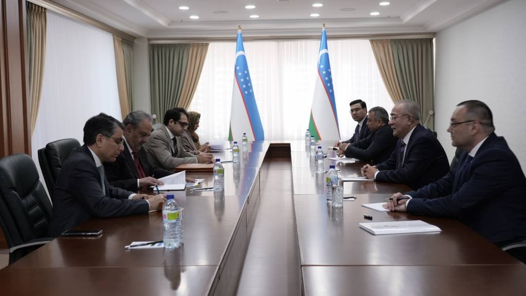 Uzbekistan, Pakistan discuss transport, communication projects in Afghanistan