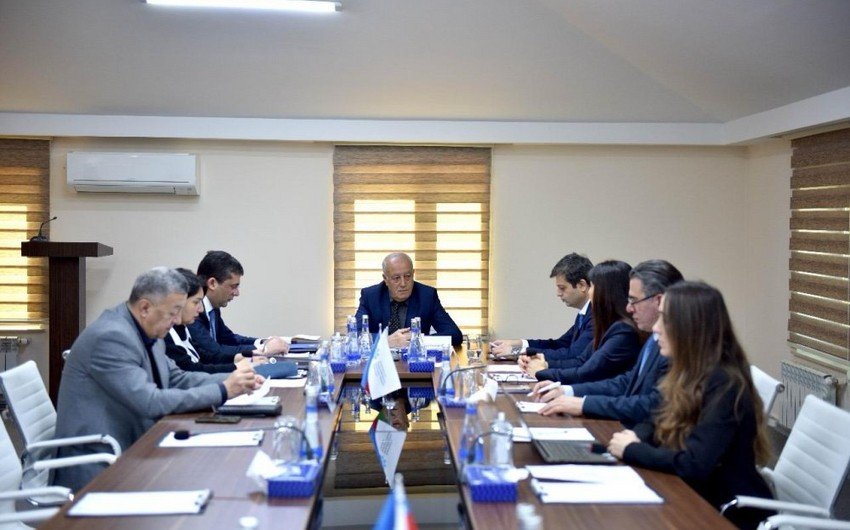 Произведено новое назначение в руководстве Агентства развития медиа Азербайджана