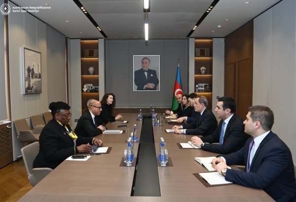 Azerbaijani FM talks COP29 homework with UN Executive Secretary