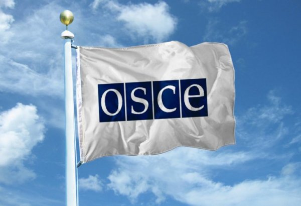 Более 80 представителей ПА ОБСЕ будут наблюдать за президентскими выборами в Азербайджане