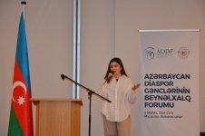 Azerbaijani diaspora youth supports President Ilham Aliyev's candidacy in upcoming election (PHOTO)
