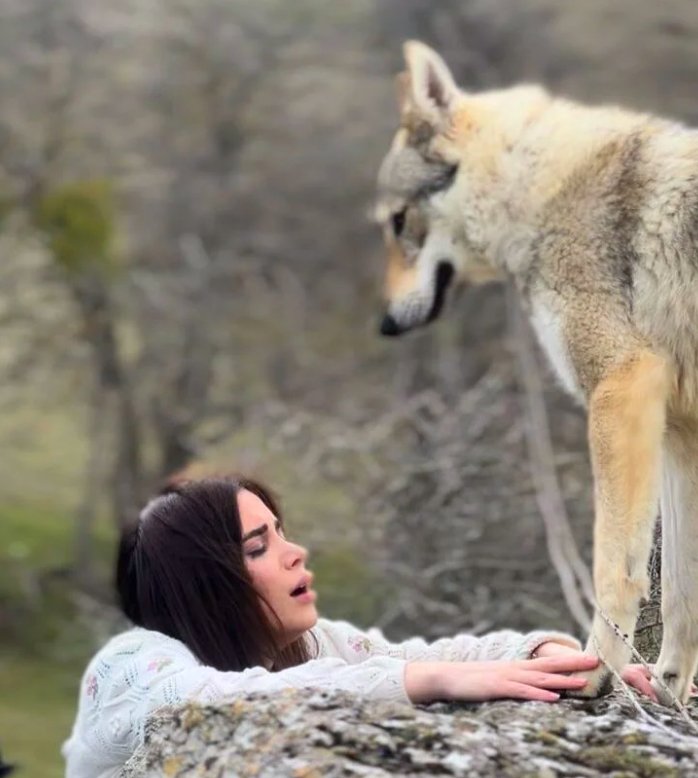 Наедине с волками…  Красивая азербайджанская свадьба превращается в трагедию (ВИДЕО, ФОТО)