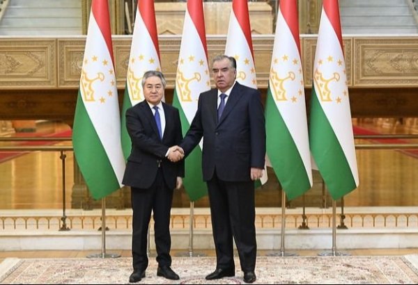 Tajikistan's president, Kyrgyzstan's FM hold talks on bilateral co-op