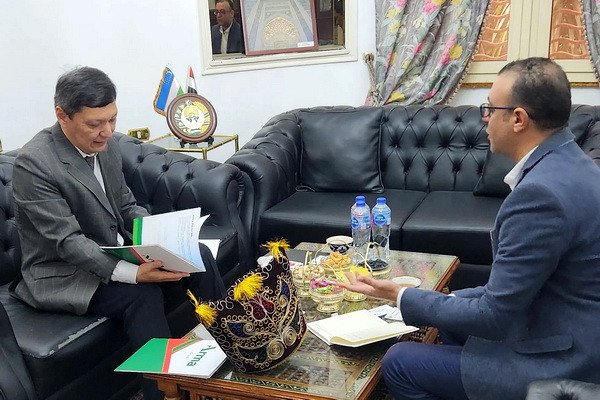 Egyptian company ready to establish co-op with Uzbekistan