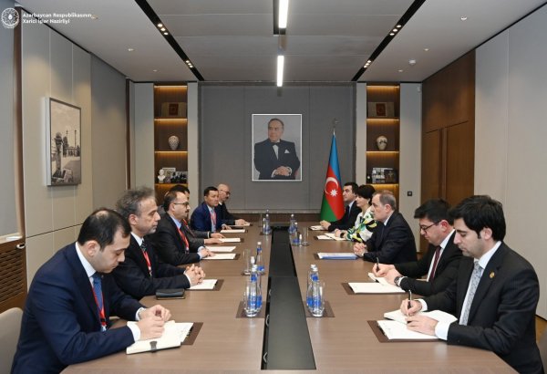 Azerbaijani Foreign Minister welcomes head of TURKPA observation mission