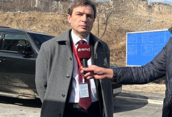 Voting process in Azerbaijani presidential election goes on calmly, in working environment - Moldovian MP