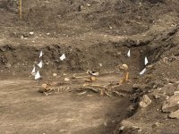 Remains found in Azerbaijan's Asgaran may belong to Khojaly residents - official (PHOTO)