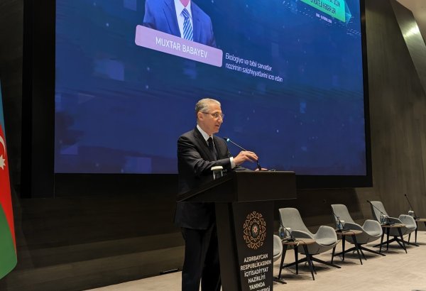 Azerbaijan prioritizes tackling global climate change issues - acting ecology minister