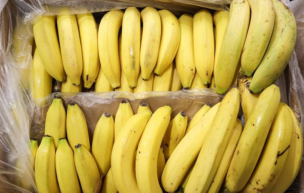 Делегация Эквадора приедет в Россию разбираться из-за бананов