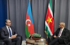 Посол Азербайджана вручил верительные грамоты Президенту Суринама (ФОТО)