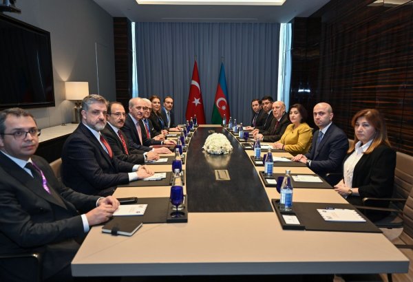 Speaker of Azerbaijani parliament holds discussions with Chairman of Turkish parliament (PHOTO)