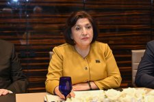 Сахиба Гафарова провела обсуждения с председателем Великого национального собрания Турции (ФОТО)