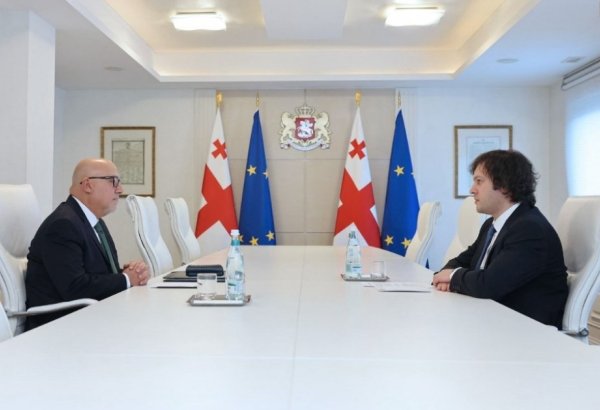 Georgian PM, Turkish Ambassador discuss strategic partnership
