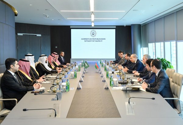 Azerbaijan, Saudi Arabia discuss strengthening economic partnership (PHOTO)