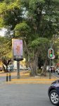 Meksika, Kolumbiya və Peru paytaxtlarının mərkəzi küçələrində “Xocalıya ədalət” çağırışı (FOTO)