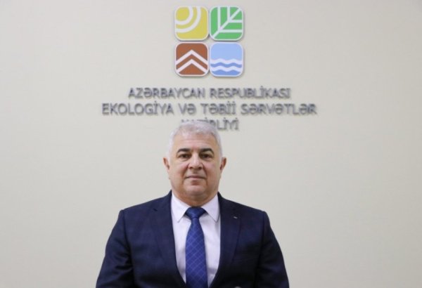 COP29 outcomes to benefit Azerbaijan and entire world - deputy minister
