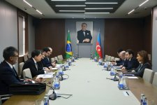 Azerbaijani and Brazilian MFAs hold political consultations (PHOTO)