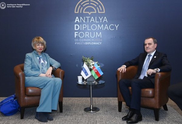 Azerbaijani FM, OSCE SecGen discuss country's priorities within organization