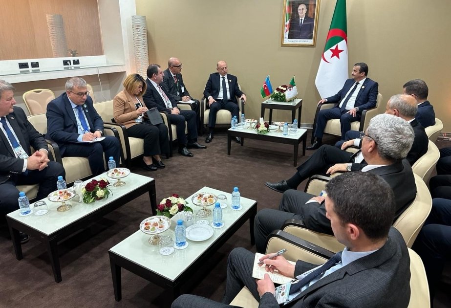 Azerbaijan and Algeria talk on co-op in energy sector
