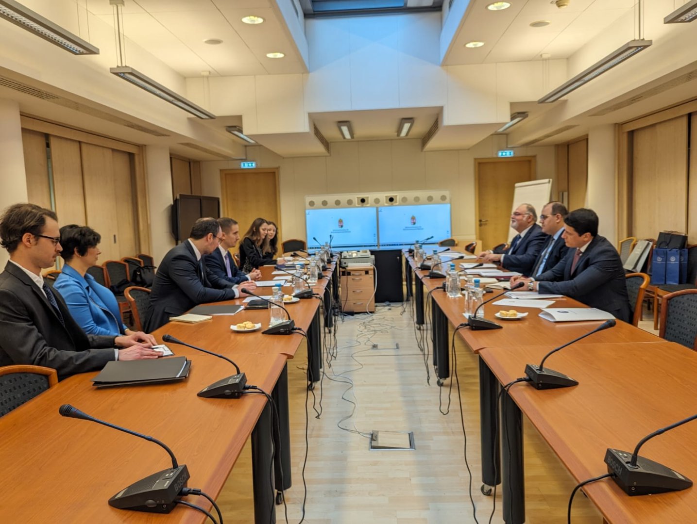 Азербайджан и Венгрия провели консульские консультации (ФОТО)
