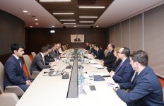 Азербайджан и Бразилия обсудили сотрудничество по "зеленому" финансированию в рамках COP29 (ФОТО)