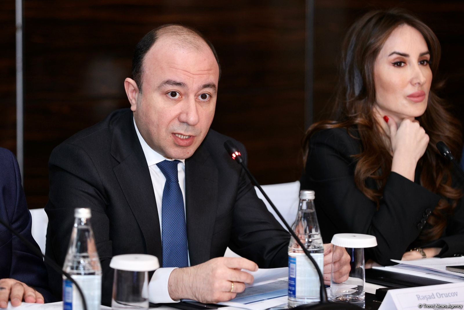 Azerbaijani Central Bank taking efforts to stimulate 'green' financing