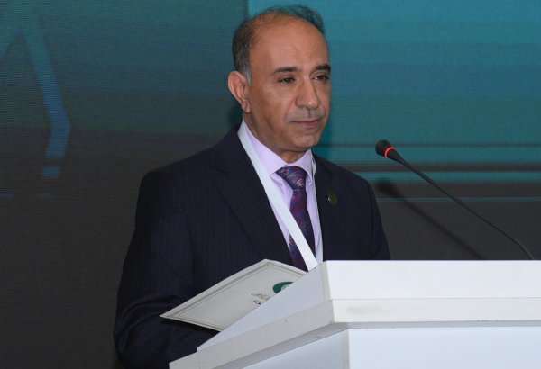 OIC representative thanks Azerbaijan for hosting conference on tackling Islamophobia