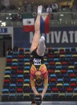 Bakıda idman gimnastikası üzrə Dünya Kubokunun ikinci gününün ən gözəl anları (FOTO)