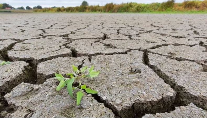 Azerbaijan discloses its area of severe water scarcity